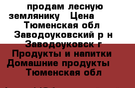 продам лесную землянику › Цена ­ 350 - Тюменская обл., Заводоуковский р-н, Заводоуковск г. Продукты и напитки » Домашние продукты   . Тюменская обл.